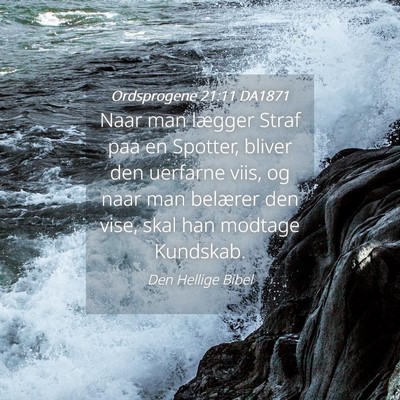Picture 04 - Ordsprogene 21:11 DA1871 - Naar man lægger Straf paa en Spotter, bliver den - Bible Verse Picture
