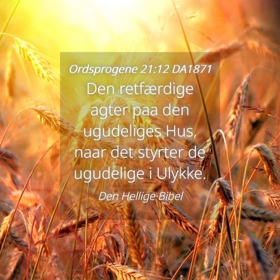 Picture 04 - Ordsprogene 21:12 DA1871 - Den retfærdige agter paa den ugudeliges Hus, - Bible Verse Picture