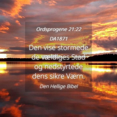 Picture 04 - Ordsprogene 21:22 DA1871 - Den vise stormede de vældiges Stad og - Bible Verse Picture
