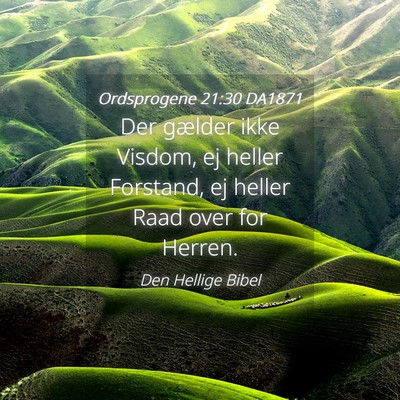 Picture 04 - Ordsprogene 21:30 DA1871 - Der gælder ikke Visdom, ej heller Forstand, ej - Bible Verse Picture