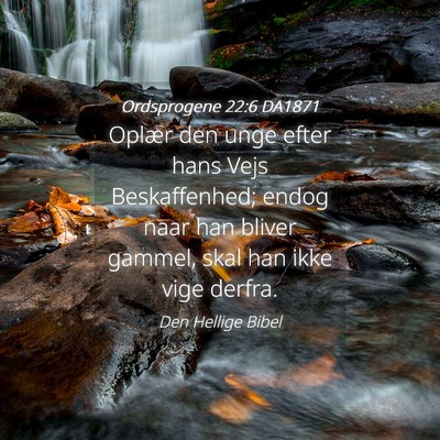 Picture 04 - Ordsprogene 22:6 DA1871 - Oplær den unge efter hans Vejs Beskaffenhed; - Bible Verse Picture