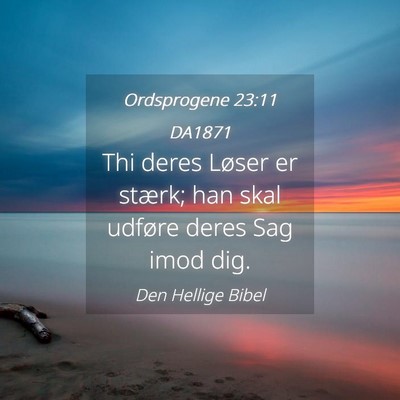 Picture 04 - Ordsprogene 23:11 DA1871 - Thi deres Løser er stærk; han skal udføre - Bible Verse Picture