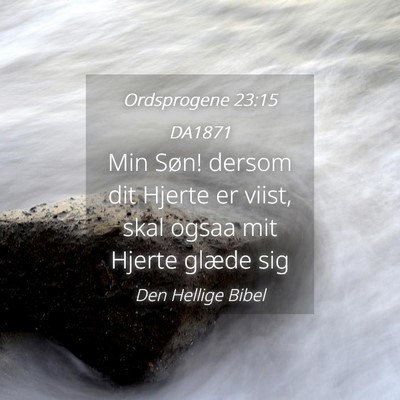 Picture 04 - Ordsprogene 23:15 DA1871 - Min Søn! dersom dit Hjerte er viist, skal ogsaa - Bible Verse Picture