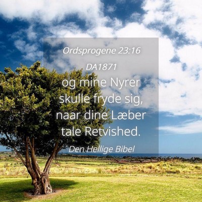 Picture 04 - Ordsprogene 23:16 DA1871 - og mine Nyrer skulle fryde sig, naar dine Læber - Bible Verse Picture