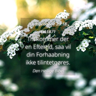 Picture 04 - Ordsprogene 23:18 DA1871 - Thi kommer der en Eftertid, saa vil din - Bible Verse Picture