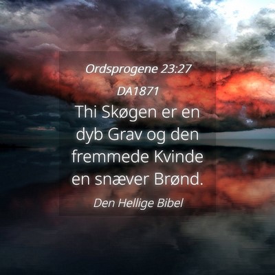 Picture 04 - Ordsprogene 23:27 DA1871 - Thi Skøgen er en dyb Grav og den fremmede Kvinde - Bible Verse Picture