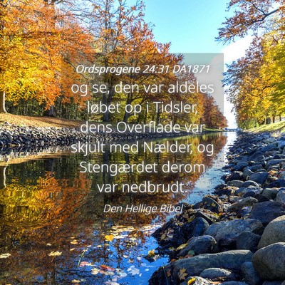 Picture 04 - Ordsprogene 24:31 DA1871 - og se, den var aldeles løbet op i Tidsler, dens - Bible Verse Picture