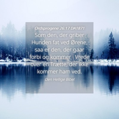 Picture 04 - Ordsprogene 26:17 DA1871 - Som den, der griber Hunden fat ved Ørene, saa er - Bible Verse Picture