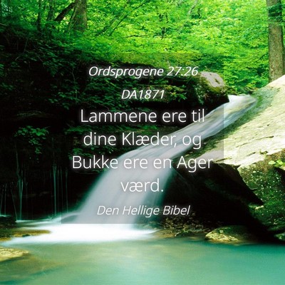 Picture 04 - Ordsprogene 27:26 DA1871 - Lammene ere til dine Klæder, og Bukke ere en - Bible Verse Picture