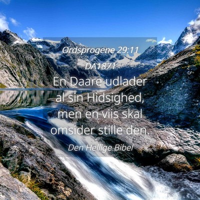 Picture 04 - Ordsprogene 29:11 DA1871 - En Daare udlader al sin Hidsighed, men en viis - Bible Verse Picture