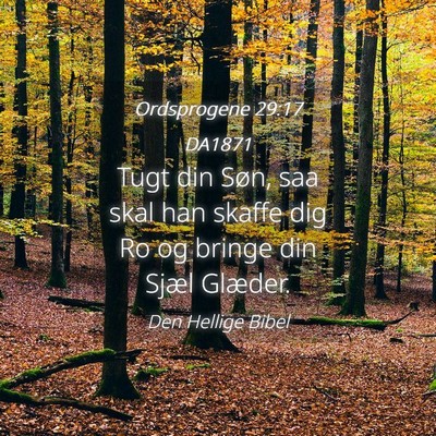 Picture 04 - Ordsprogene 29:17 DA1871 - Tugt din Søn, saa skal han skaffe dig Ro og - Bible Verse Picture
