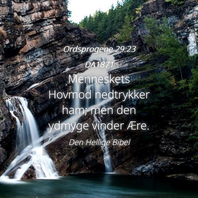 Picture 04 - Ordsprogene 29:23 DA1871 - Menneskets Hovmod nedtrykker ham; men den ydmyge - Bible Verse Picture