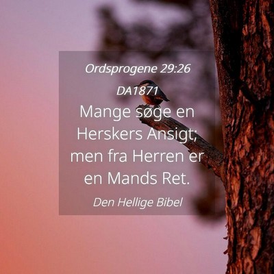 Picture 04 - Ordsprogene 29:26 DA1871 - Mange søge en Herskers Ansigt; men fra Herren er - Bible Verse Picture