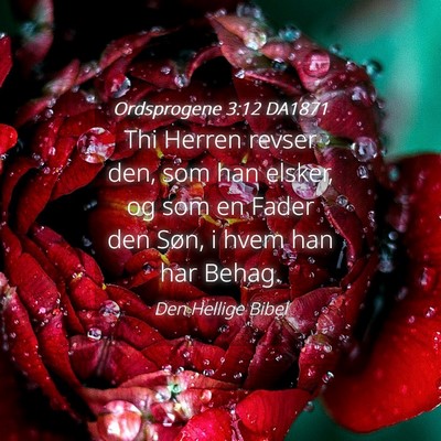 Picture 04 - Ordsprogene 3:12 DA1871 - Thi Herren revser den, som han elsker, og som en - Bible Verse Picture