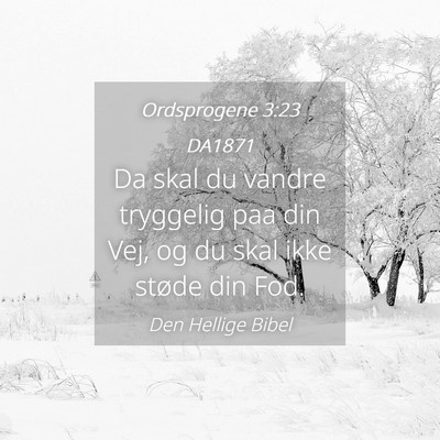 Picture 04 - Ordsprogene 3:23 DA1871 - Da skal du vandre tryggelig paa din Vej, og du - Bible Verse Picture