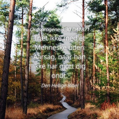 Picture 04 - Ordsprogene 3:30 DA1871 - Træt ikke med et Menneske uden Aarsag, naar han - Bible Verse Picture