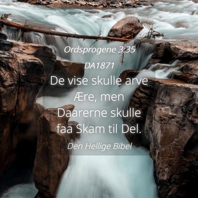 Picture 04 - Ordsprogene 3:35 DA1871 - De vise skulle arve Ære, men Daarerne skulle faa - Bible Verse Picture