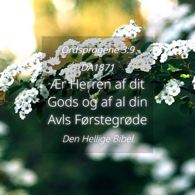 Picture 04 - Ordsprogene 3:9 DA1871 - Ær Herren af dit Gods og af al din Avls - Bible Verse Picture