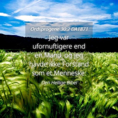 Picture 04 - Ordsprogene 30:2 DA1871 - Jeg var ufornuftigere end en Mand, og jeg havde - Bible Verse Picture