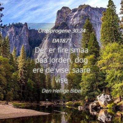 Picture 04 - Ordsprogene 30:24 DA1871 - Der er fire smaa paa Jorden, dog ere de vise, - Bible Verse Picture
