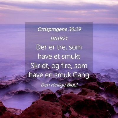 Picture 04 - Ordsprogene 30:29 DA1871 - Der er tre, som have et smukt Skridt, og fire, - Bible Verse Picture
