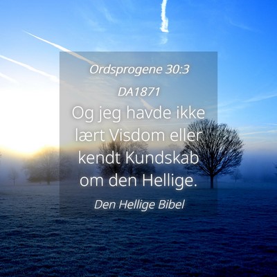 Picture 04 - Ordsprogene 30:3 DA1871 - Og jeg havde ikke lært Visdom eller kendt - Bible Verse Picture