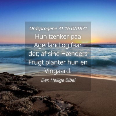 Picture 04 - Ordsprogene 31:16 DA1871 - Hun tænker paa Agerland og faar det; af sine - Bible Verse Picture