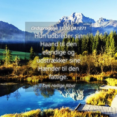 Picture 04 - Ordsprogene 31:20 DA1871 - Hun udbreder sin Haand til den elendige og - Bible Verse Picture