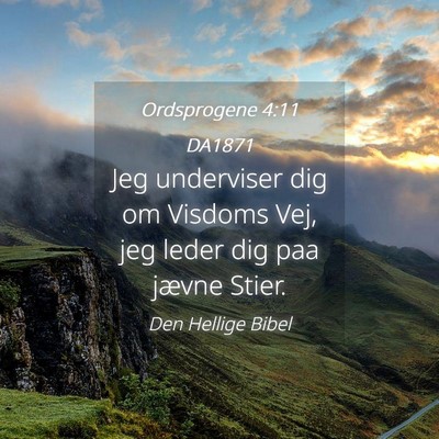 Picture 04 - Ordsprogene 4:11 DA1871 - Jeg underviser dig om Visdoms Vej, jeg leder dig - Bible Verse Picture