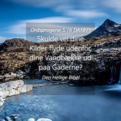 Picture 04 - Ordsprogene 5:16 DA1871 - Skulde vel dine Kilder flyde udenfor, dine - Bible Verse Picture