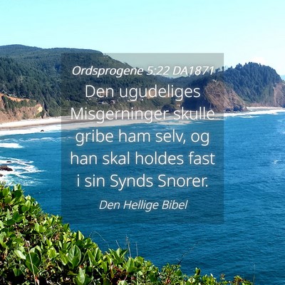 Picture 04 - Ordsprogene 5:22 DA1871 - Den ugudeliges Misgerninger skulle gribe ham - Bible Verse Picture