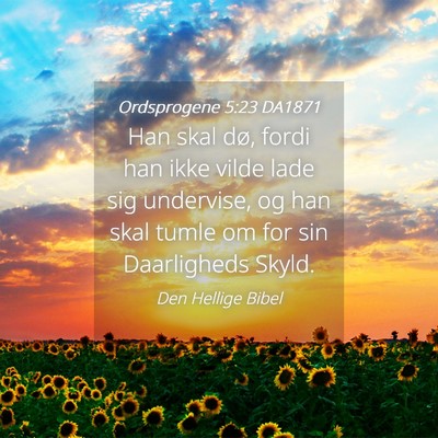 Picture 04 - Ordsprogene 5:23 DA1871 - Han skal dø, fordi han ikke vilde lade sig - Bible Verse Picture