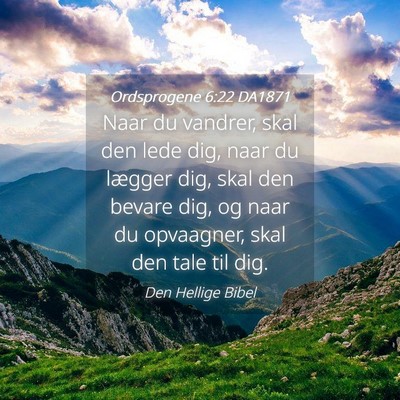Picture 04 - Ordsprogene 6:22 DA1871 - Naar du vandrer, skal den lede dig, naar du - Bible Verse Picture