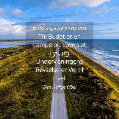 Picture 04 - Ordsprogene 6:23 DA1871 - Thi Budet er en Lampe og Loven et Lys, og - Bible Verse Picture