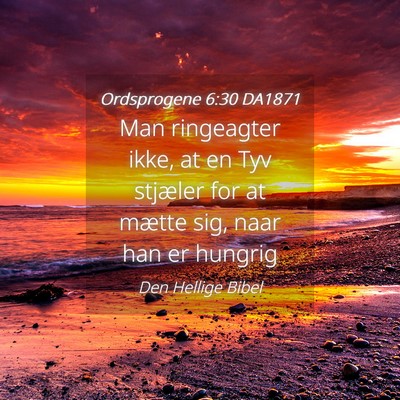 Picture 04 - Ordsprogene 6:30 DA1871 - Man ringeagter ikke, at en Tyv stjæler for at - Bible Verse Picture