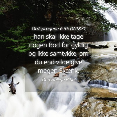 Picture 04 - Ordsprogene 6:35 DA1871 - han skal ikke tage nogen Bod for gyldig og ikke - Bible Verse Picture
