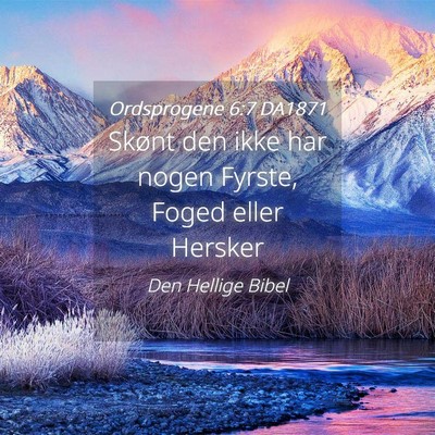 Picture 04 - Ordsprogene 6:7 DA1871 - Skønt den ikke har nogen Fyrste, Foged eller - Bible Verse Picture