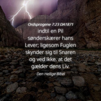 Picture 04 - Ordsprogene 7:23 DA1871 - indtil en Pil sønderskærer hans Lever; ligesom - Bible Verse Picture
