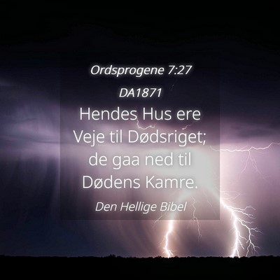 Picture 04 - Ordsprogene 7:27 DA1871 - Hendes Hus ere Veje til Dødsriget; de gaa ned - Bible Verse Picture