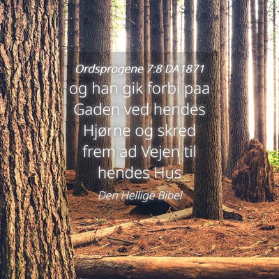 Picture 04 - Ordsprogene 7:8 DA1871 - og han gik forbi paa Gaden ved hendes Hjørne og - Bible Verse Picture