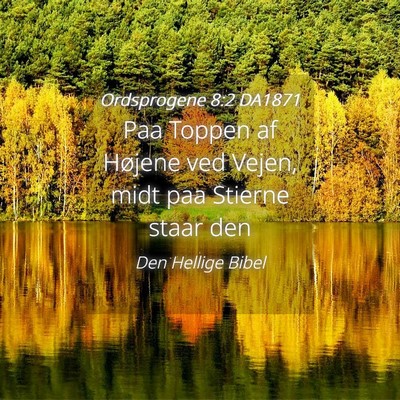 Picture 04 - Ordsprogene 8:2 DA1871 - Paa Toppen af Højene ved Vejen, midt paa Stierne - Bible Verse Picture
