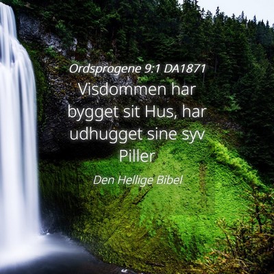 Picture 04 - Ordsprogene 9:1 DA1871 - Visdommen har bygget sit Hus, har udhugget sine - Bible Verse Picture