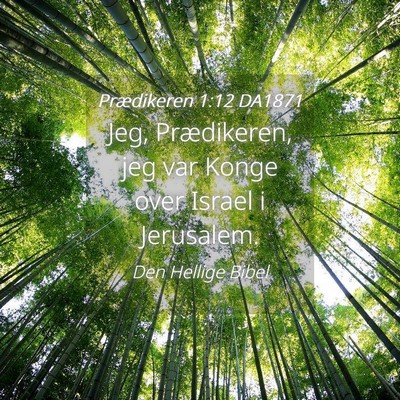 Picture 04 - Prædikeren 1:12 DA1871 - Jeg, Prædikeren, jeg var Konge over Israel i - Bible Verse Picture