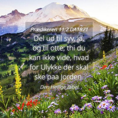 Picture 04 - Prædikeren 11:2 DA1871 - Del ud til syv, ja, og til otte; thi du kan ikke - Bible Verse Picture