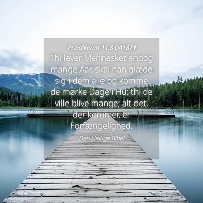 Picture 04 - Prædikeren 11:8 DA1871 - Thi lever Mennesket endog mange Aar, skal han - Bible Verse Picture