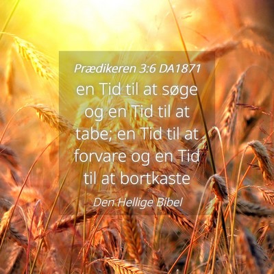 Picture 04 - Prædikeren 3:6 DA1871 - en Tid til at søge og en Tid til at tabe; en Tid - Bible Verse Picture