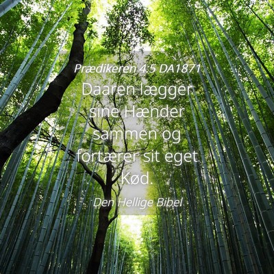 Picture 04 - Prædikeren 4:5 DA1871 - Daaren lægger sine Hænder sammen og fortærer - Bible Verse Picture