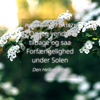 Picture 04 - Prædikeren 4:7 DA1871 - Og jeg vendte tilbage og saa Forfængelighed - Bible Verse Picture