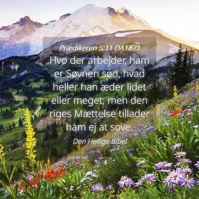 Picture 04 - Prædikeren 5:11 DA1871 - Hvo der arbejder, ham er Søvnen sød, hvad - Bible Verse Picture
