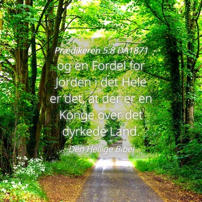 Picture 04 - Prædikeren 5:8 DA1871 - og en Fordel for Jorden i det Hele er det, at der - Bible Verse Picture